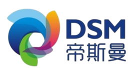 DSM DSM